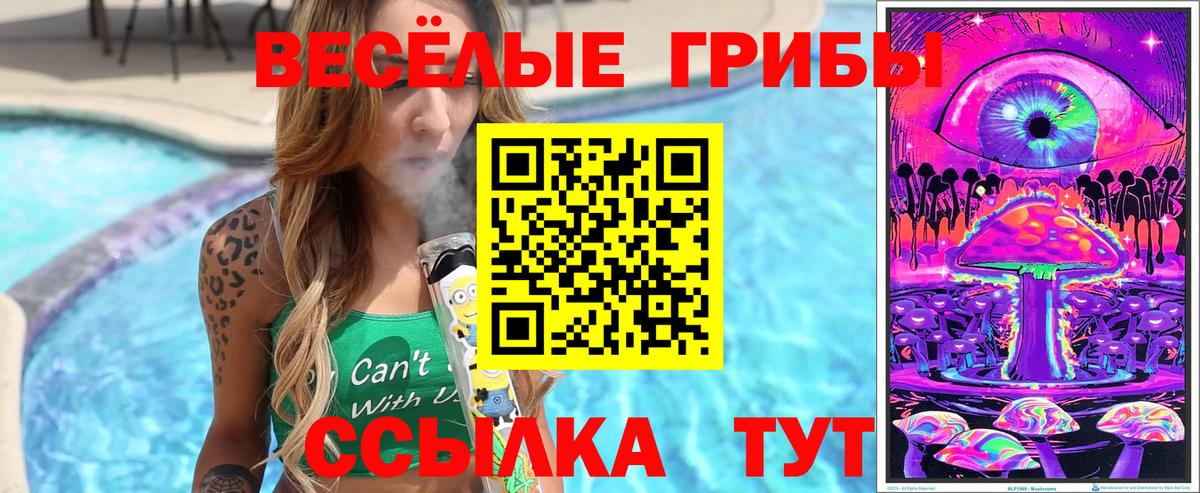 Псилоцибиновые грибы Magic Shrooms  Вход с VPN  Псилоцибиновые грибы ЛСД  Карабулак 